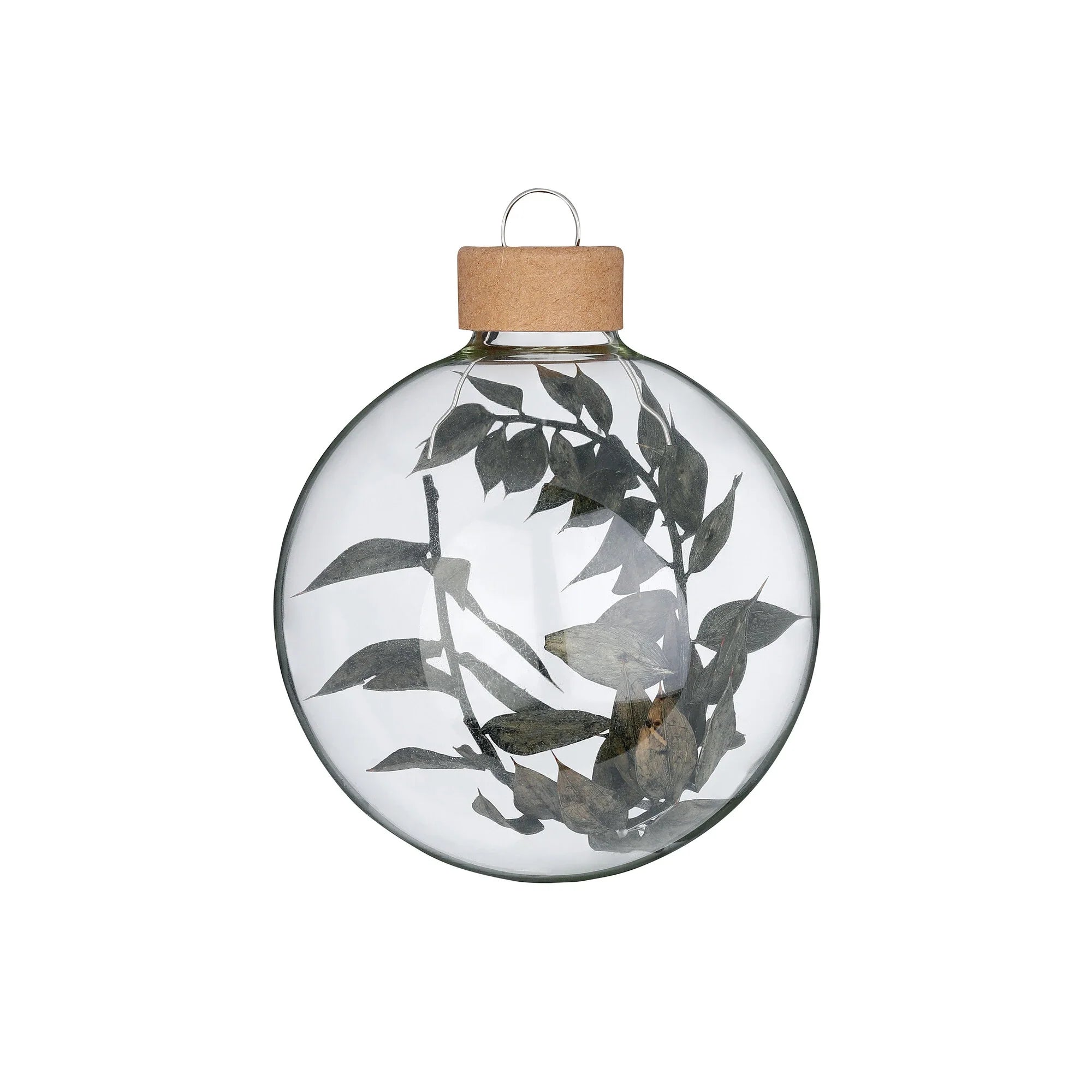 Ball Ornament Set Filled with Dyed Butcher's Broom , Luna, Glass, 8 cm, 3 pcs