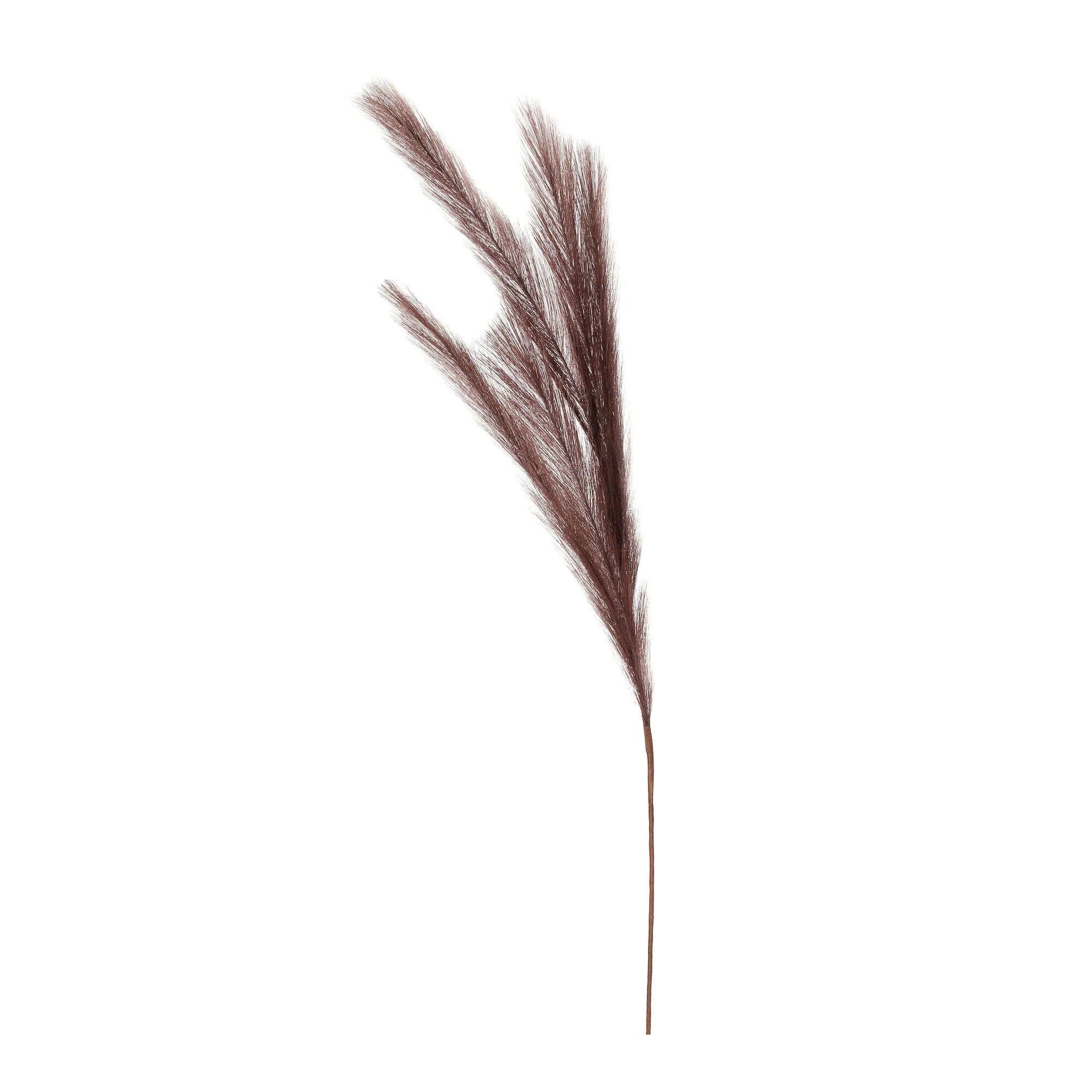 Artificial Pampas Grass Set, Coffee, Polyester, 31.5 in, 3 pcs