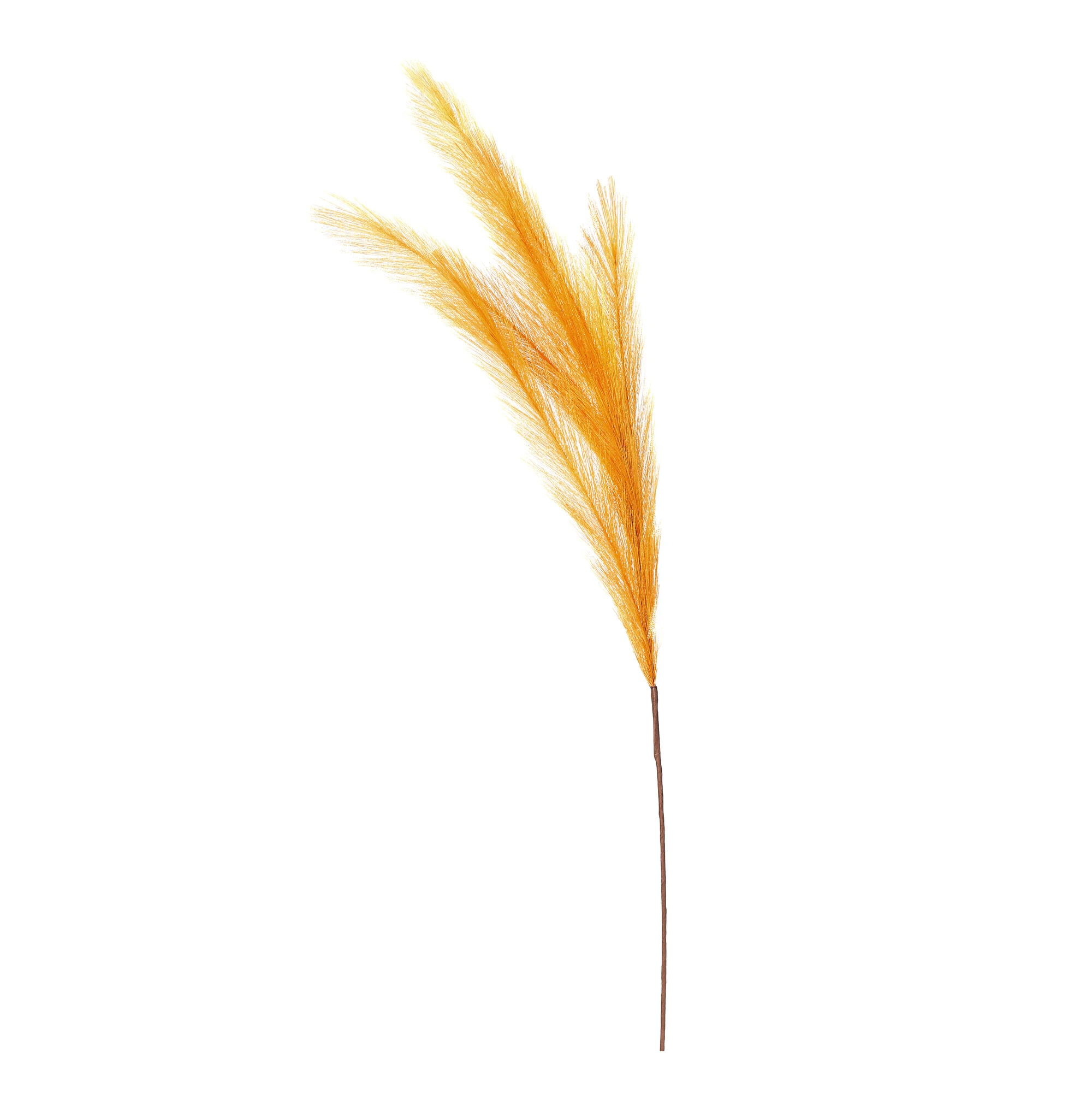 Artificial Pampas Grass Set, Honey, Polyester, 31.5 in, 3 pcs