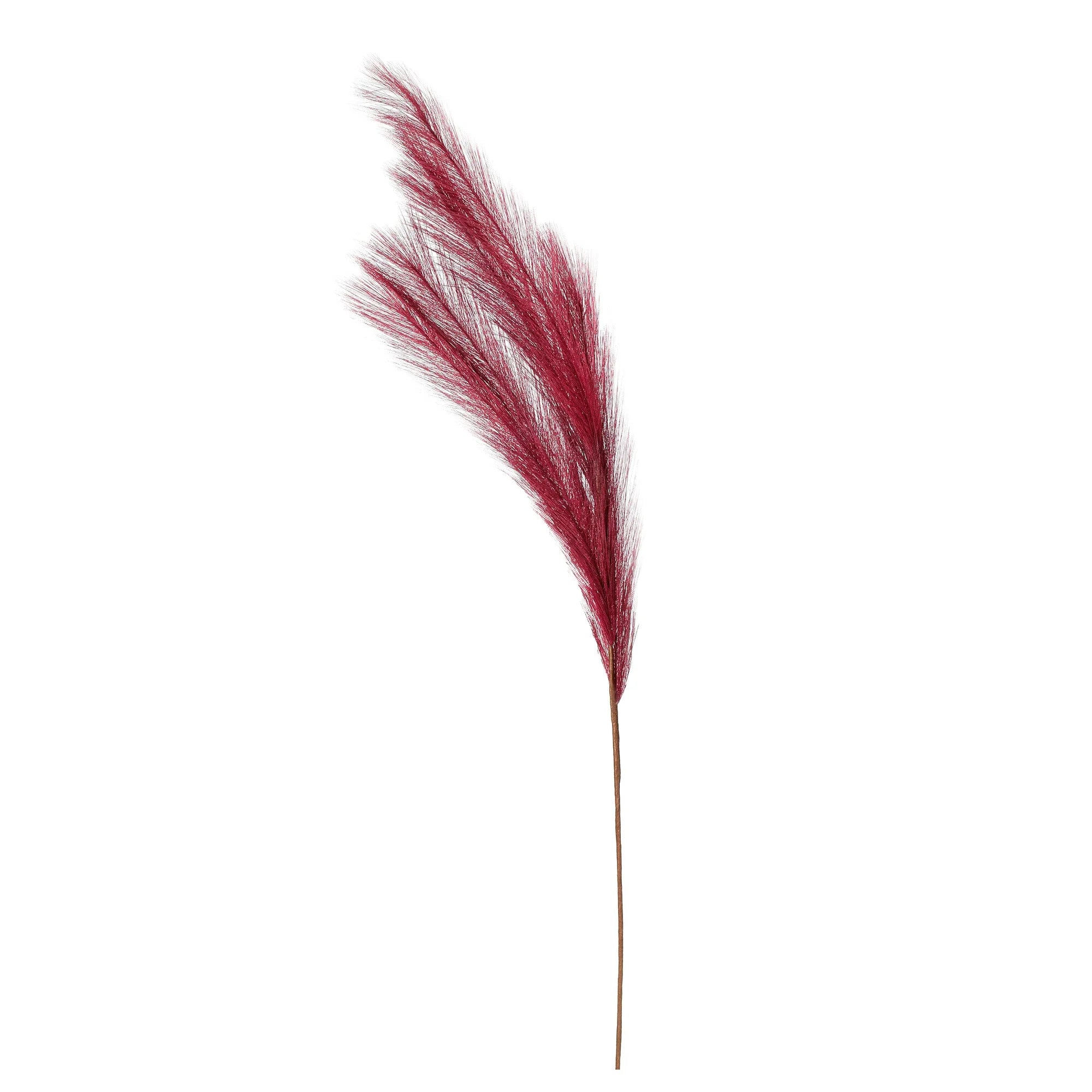 Artificial Pampas Grass Set, Rosewood, Polyester, 80 cm, 3 pcs
