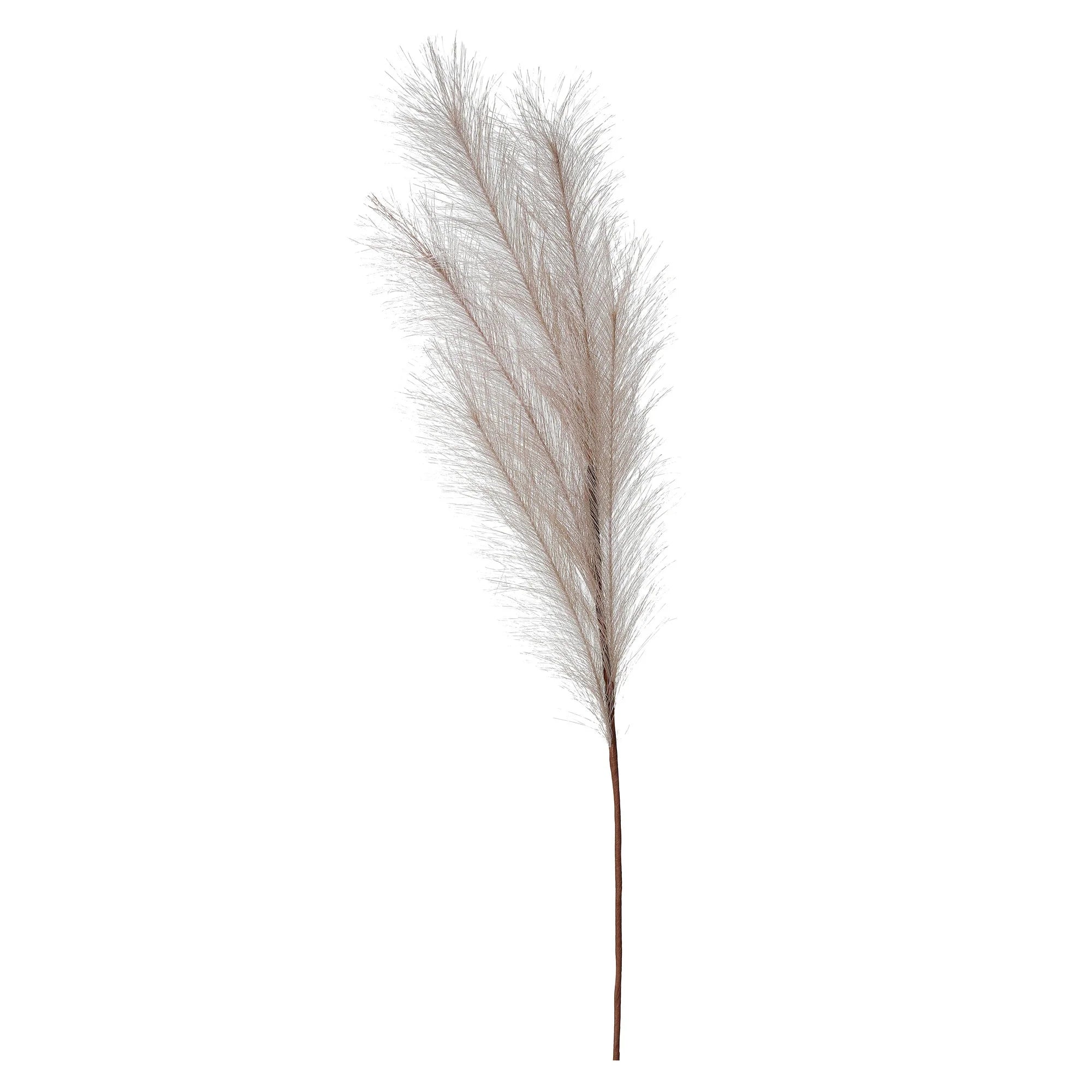 Artificial Pampas Grass Set, Beige, Polyester, 80 cm, 3 pcs